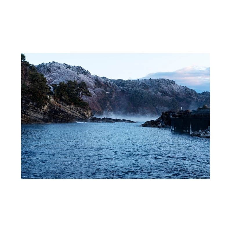 daigai-1.jpg