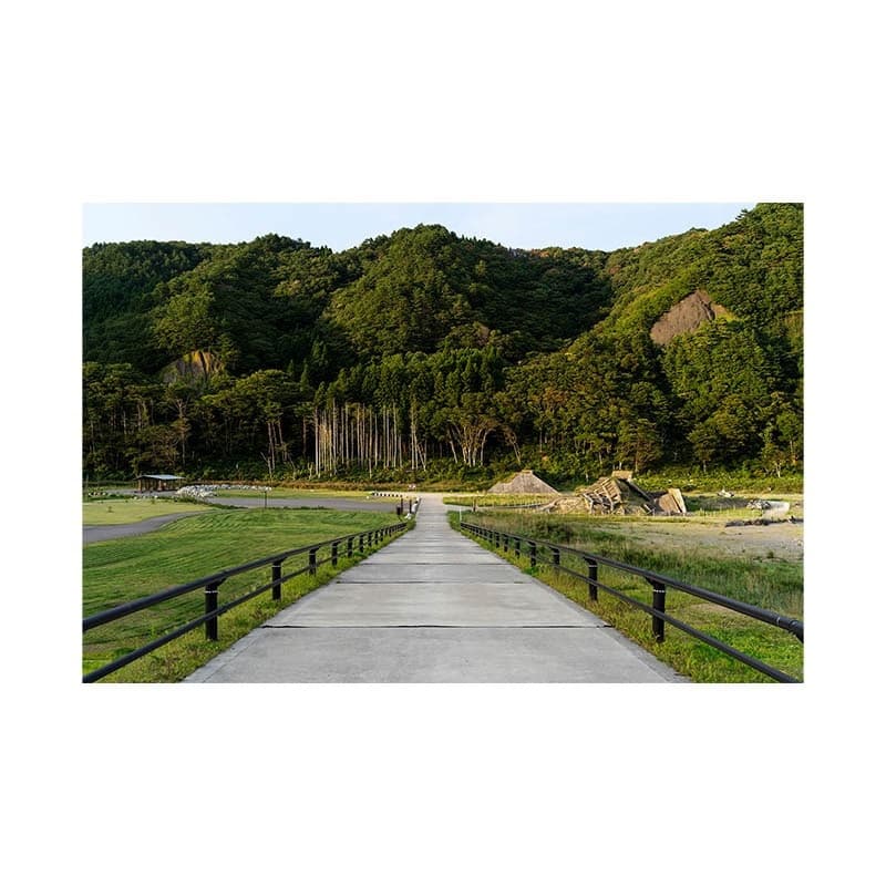 daigai-3.jpg