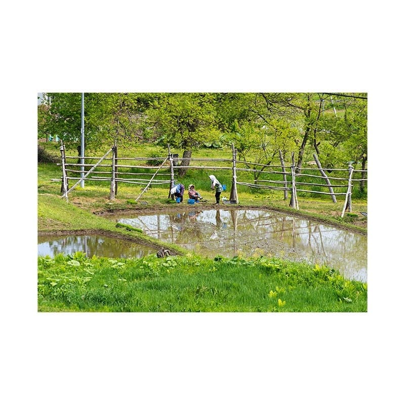 daigai-4.jpg