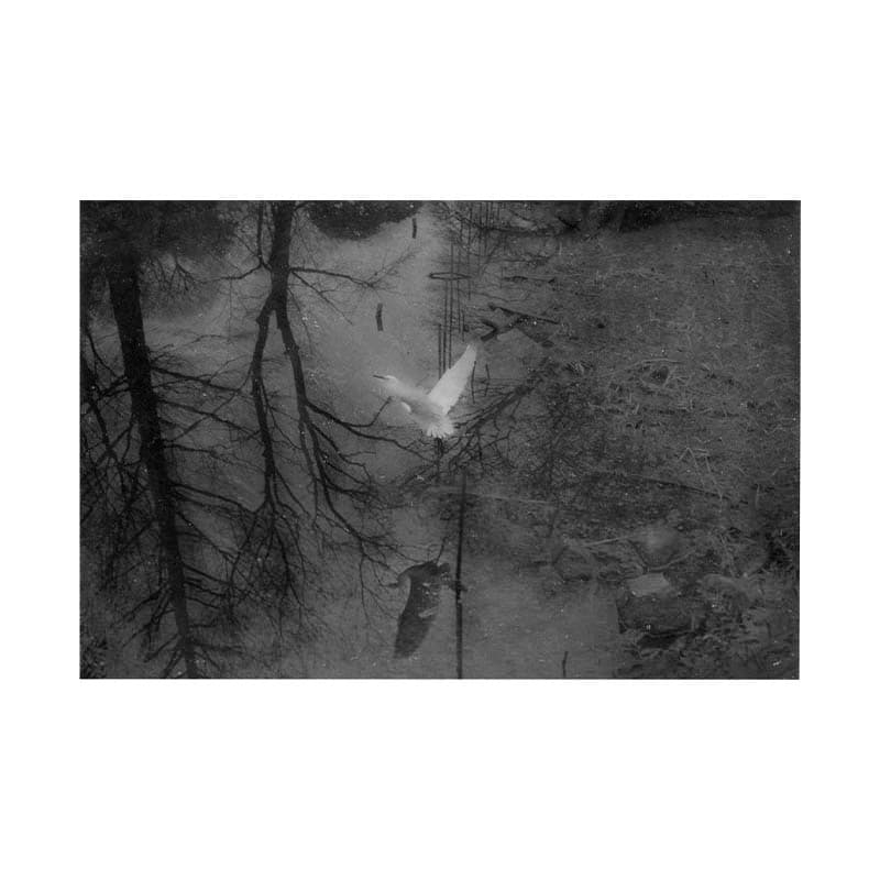 agake-8.jpg
