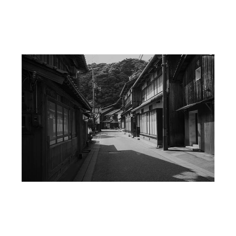 kisyuu-3.jpg