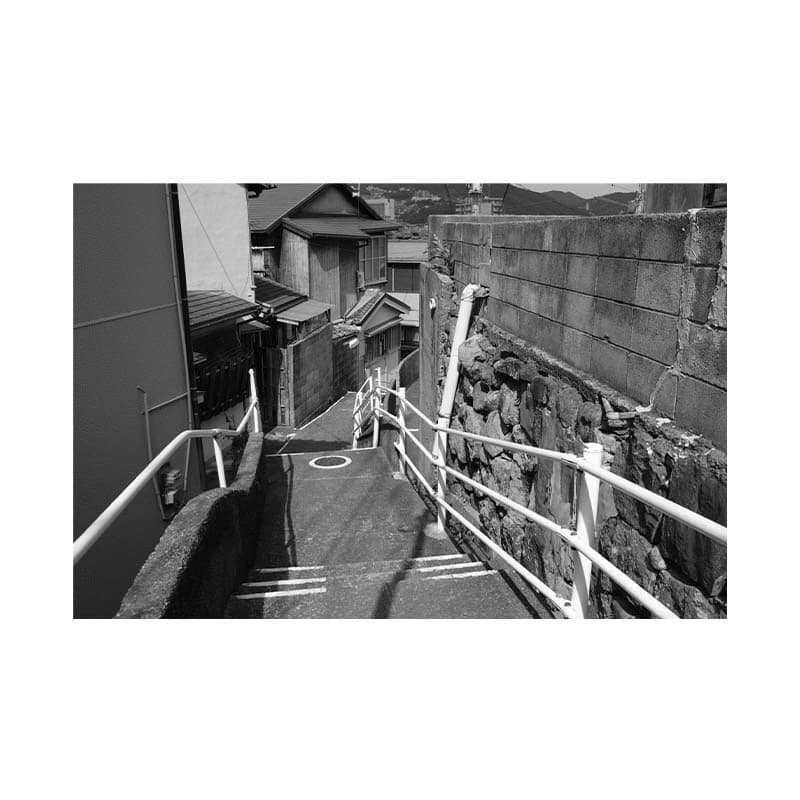 kisyuu-4.jpg